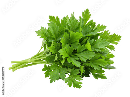 Fresh parsley bunch market stall food natural light culinary herb. Cut out png