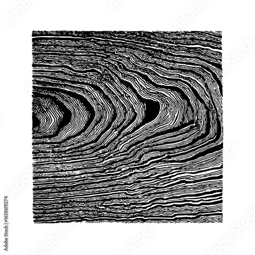 A complex pattern of black and white lines creating a textured and abstract visual representation