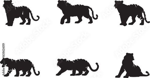 A collection of wild tiger silhouettes in various dynamic poses. Set of black vector graphic animal icons.