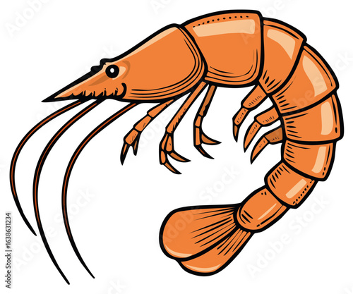 A graphic illustration of an orange shrimp with segmented body and long antennae