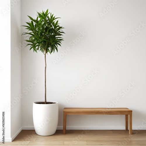 Minimalist Interior Scene with a Potted Tree on a Wooden Bench