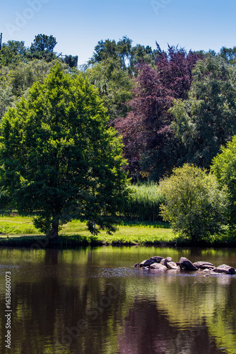Fountain of Youth (Brocéliande’s secret)