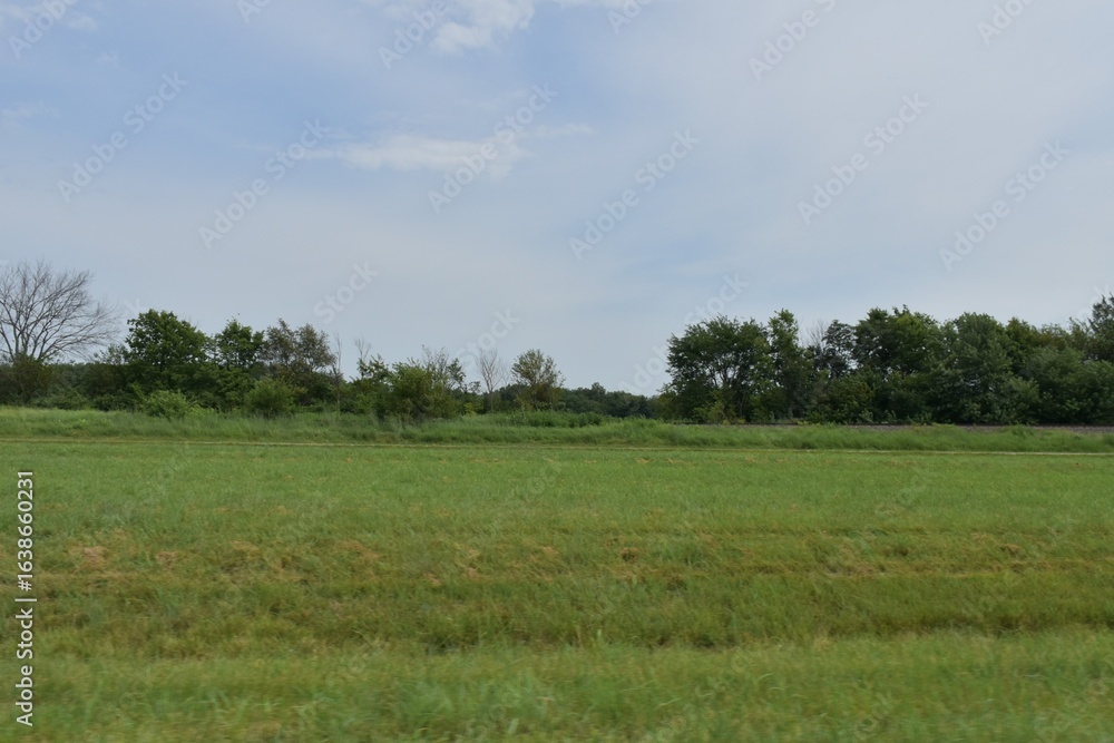 Fototapeta premium Field