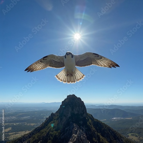 bird in flight