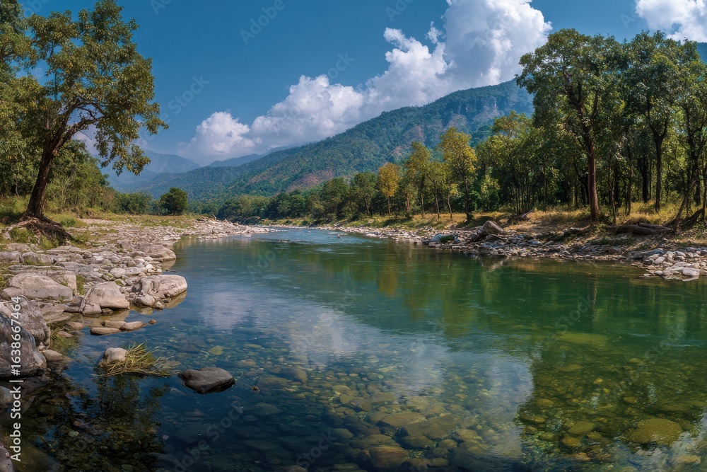 Fototapeta premium High-quality photo of panorama of kosi river in jim corbett national park india.