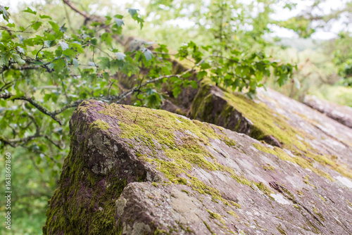 The Aff River’s, Forest of Broceliande, France