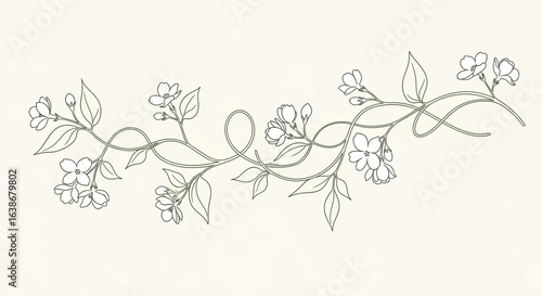 A graceful line art illustration of an intertwined flowering vine with delicate blossoms, buds, and leaves on a cream background.
