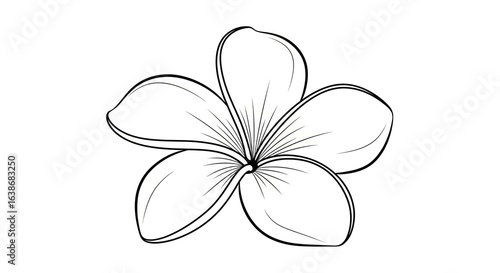 A simple black and white line art illustration of a five-petaled plumeria flower.