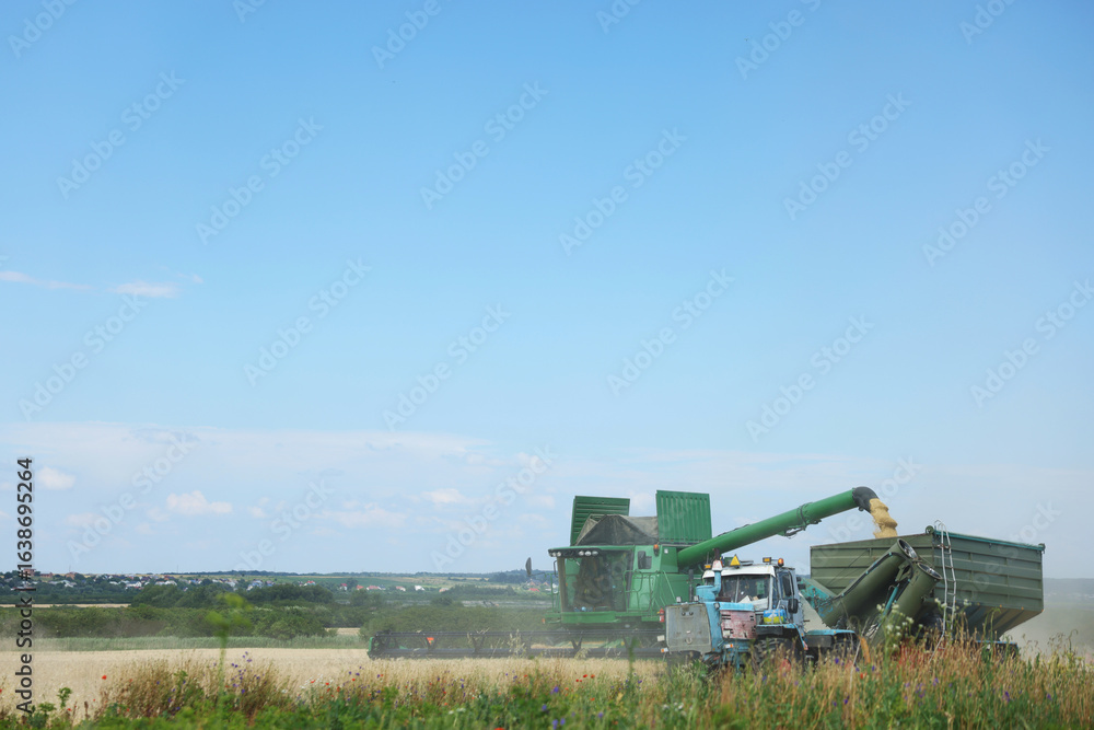 Obraz premium Combine harvester unloading wheat into tractor trailer in field