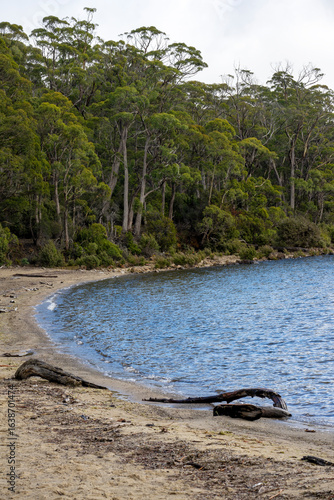 Beach on Cynthia Bay, Cradle Mountain - Lake St Clair National Park, Tasmania, Australia