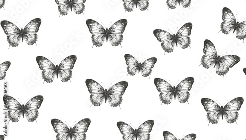 A repeating pattern of detailed, grayscale butterflies with open wings, scattered across a white background.