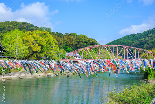 春の川上峡　鯉のぼり　佐賀県佐賀市　Kawakami Gorge in spring. carp streamer. Saga Pref, Saga City.