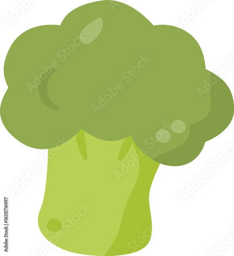 Green broccoli vector illustration, nutritious vegetable ideal for healthy meals, salads, and vegetarian recipes.