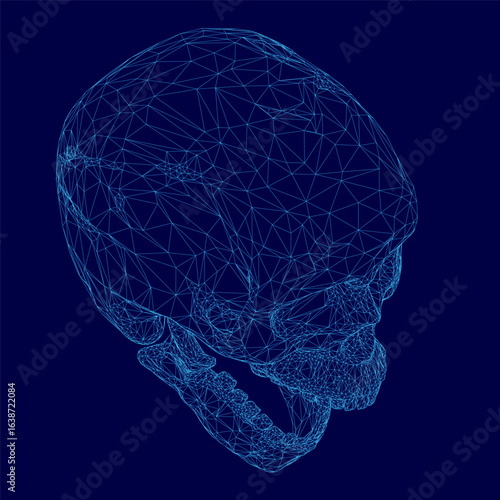 A wireframe blueprint of a human skull displays intricate anatomical details with clean lines and geometric precision. The transparent design highlights the skeletal structure from multiple angles.