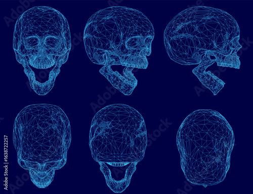 Six low polygonal skulls arranged symmetrically on a blue background, each with unique wireframe shapes and textures. The stark white skulls contrast sharply against the vibrant blue backdrop.