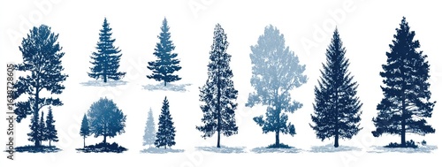 Silhouettes of various conifer trees in shades of blue-gray, set against a white background.  A collection of stylized, graphic tree forms, suggesting a wintery or artistic forest scene