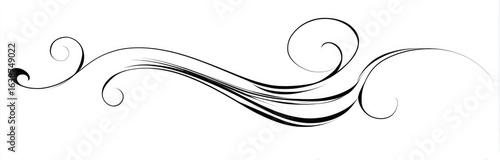 Ornate, flowing, decorative line art