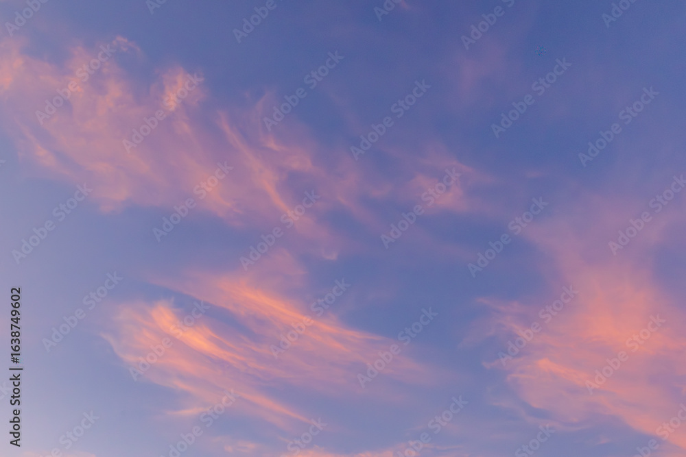 Fototapeta premium 夕焼け