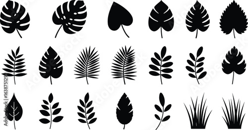 Set Holiday vacation vector icon set of a tropical leaf symbol; a transparent nature outline design artwork.