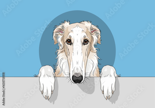 Illustration of a Borzoi dog peering over a grey ledge, set against a light blue circular background.