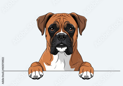 A cartoon illustration of a brown and white Boxer dog peering over a white ledge, looking directly at the viewer.