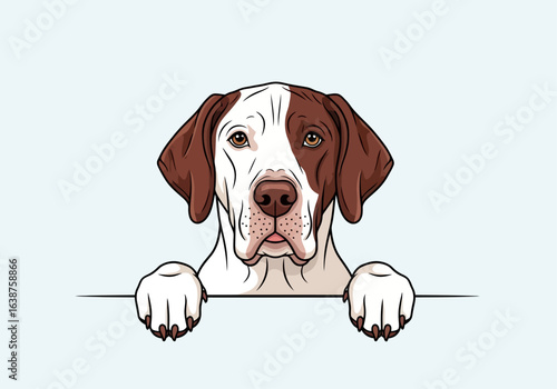 A friendly dog with brown and white markings, peeking over a horizontal line, looking directly at the viewer.