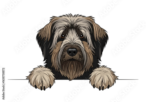 A digitally rendered portrait of a friendly, shaggy-haired dog, peering over a white surface.