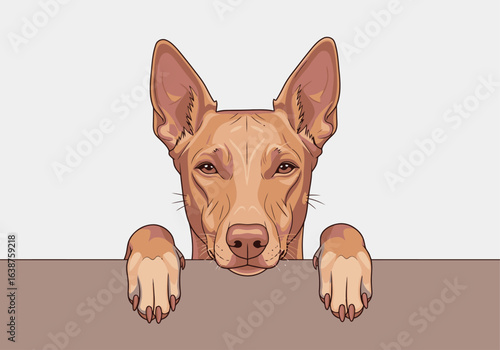 A detailed digital illustration of a brown dog with pointy ears and paws resting on a surface.