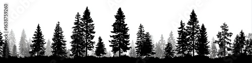 Black and white silhouette of a dense forest line (2)