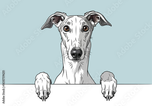 A digitally illustrated, close-up portrait of a white whippet dog peering over a blank surface.