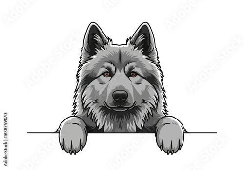 Gray and white dog with paws resting on a ledge, looking directly at the viewer in a vector illustration.