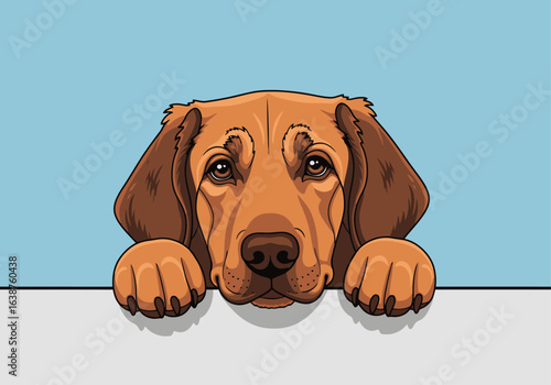 A cartoon illustration of a brown dog peeking over a white surface with a blue background.