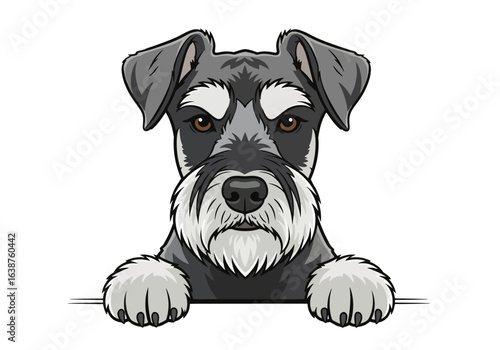A cute, stylized illustration of a Miniature Schnauzer dog peering over a ledge, with paws visible.
