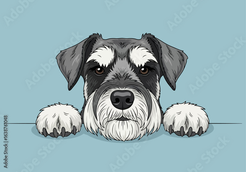 Close-up illustration of a grey schnauzer dog's head peeking through a border.