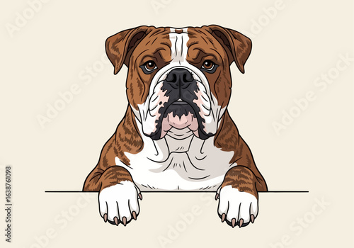 A brown and white bulldog peers over a blank sign, paws resting on the surface.