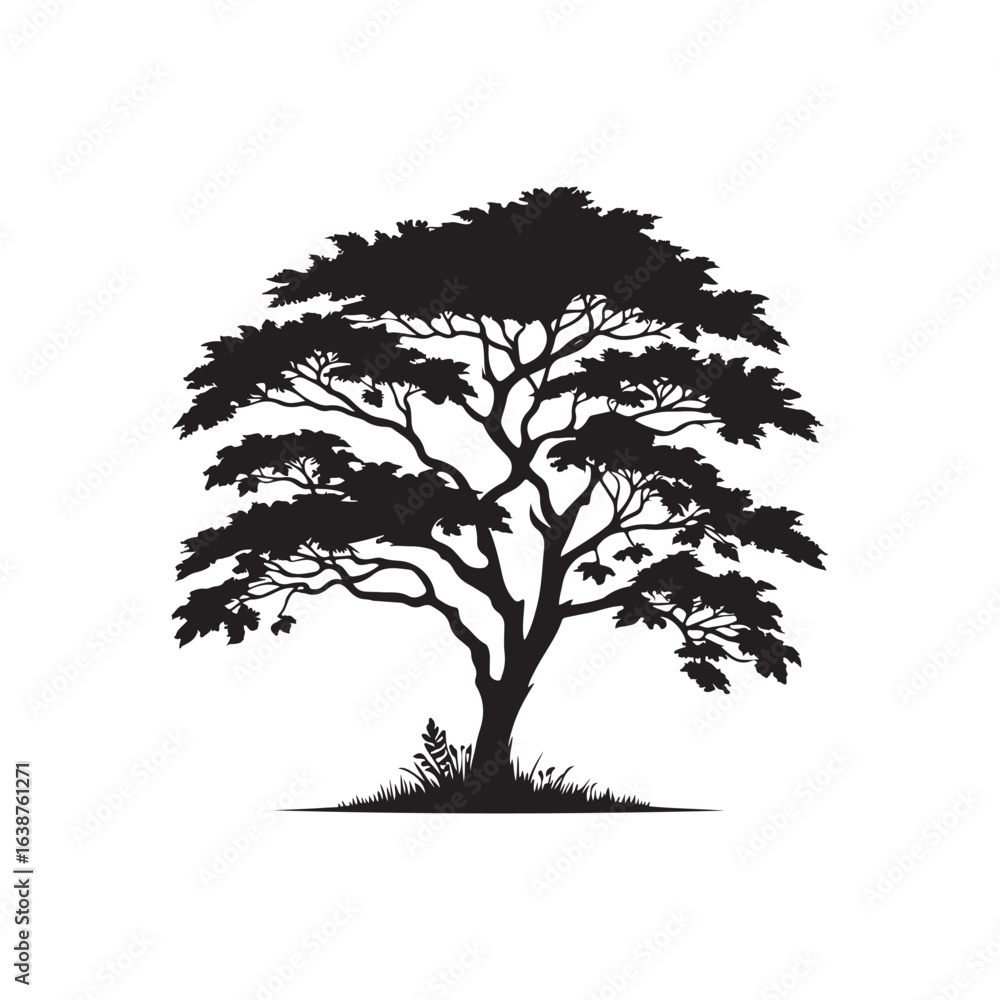 Obraz premium Elegant Acacia Tree Silhouette – Black Vector on White.