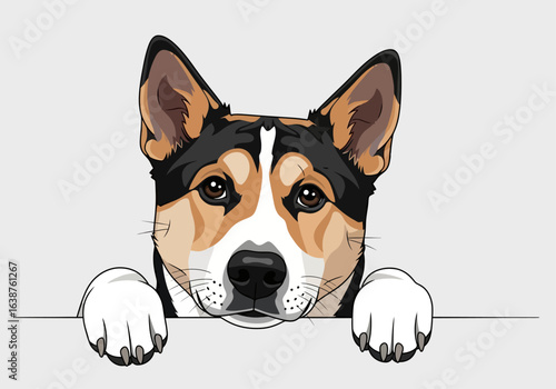 A charming tri-colored dog peers over a surface, paws resting on the edge.