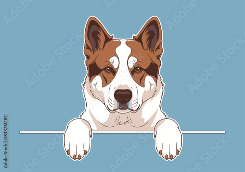 A stylized illustration of an Akita dog looking over a horizontal bar, with a blue background.