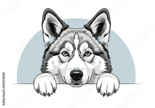 A detailed vector illustration of a Husky dog head with paws resting on a ledge, set against a light blue backdrop.