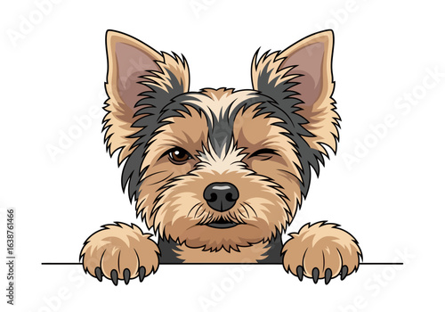 Cartoon illustration of a Yorkshire Terrier head winking with paws peeking over a white surface, isolated on a white background.