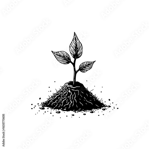 Illustrative depiction of a sapling emerging from the soil, signifying growth