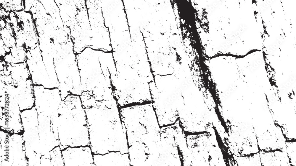 Fototapeta premium Distressed Black White Tree Bark Grunge Texture Background