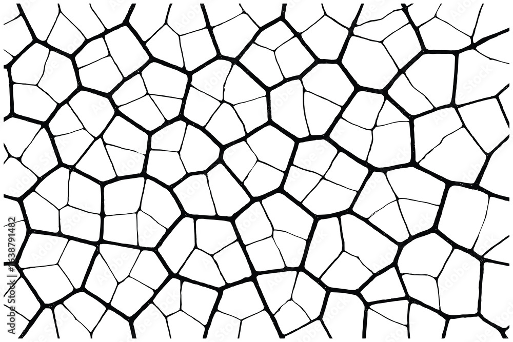 Obraz premium Abstract Voronoi Pattern Black and White Irregular Cell Structure Vector Illustration