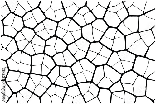 Abstract Voronoi Pattern Black and White Irregular Cell Structure Vector Illustration