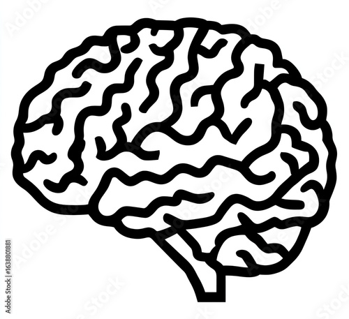 Simple black outline of a human brain
