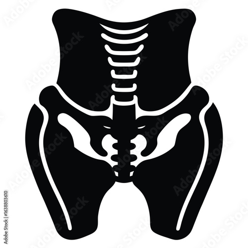 Human pelvis and spine silhouette skeleton anatomy