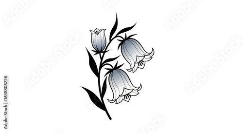 Elegant bellflower vector illustration with a delicate gradient effect