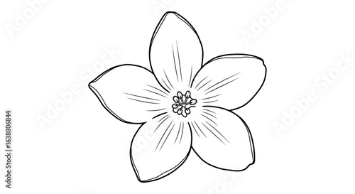 Elegant monochrome flower drawing showcasing delicate contours and simplicity