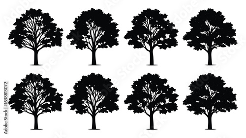 Diverse tree silhouettes black and white trees nature