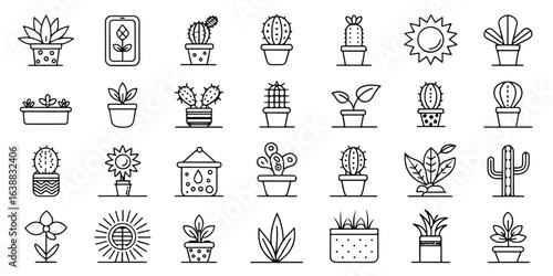 Collection of Plant Icons for Gardening and Interior Design Concepts Featuring Cacti Flowers and Succulents in a Simple Line Art Style